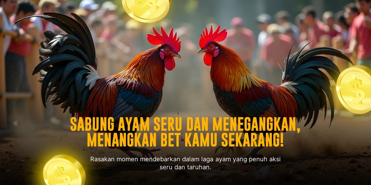 Mengenal Jenis Ayam Aduan SV388 yang Unggul dan Populer